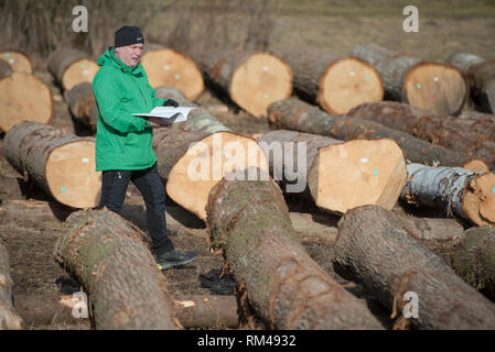 Slovenj Gradec, Slovenia. Xiii Febbraio, 2019. Un uomo è visto guardando il legname logs visualizzati durante l asta.Oltre 3700 legname pregiato logs vengono visualizzati per un'asta nella piccola città slovena. Asta è mantenuta per 13 anni diritti in questa piccola città. Le offerte sono provenienti da tutto il mondo. Quest'anno la maggior parte di loro è venuto dalla Cina. Credito: Milos Vujinovic SOPA/images/ZUMA filo/Alamy Live News Foto Stock