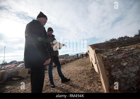 Slovenj Gradec, Slovenia. Xiii Febbraio, 2019. Persone stanno guardando il legname logs visualizzati durante l'asta. Più di 3700 di alta qualità dei registri di legno vengono visualizzati per un'asta nella piccola città slovena. Asta è mantenuta per 13 anni diritti in questa piccola città. Le offerte sono provenienti da tutto il mondo. Quest'anno la maggior parte di loro è venuto dalla Cina. Credito: Milos Vujinovic SOPA/images/ZUMA filo/Alamy Live News Foto Stock