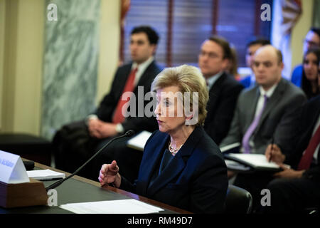 Washington DC, Stati Uniti d'America. Xiii Febbraio, 2019. Linda McMahon, Amministratore della U.S. Small Business Administration testimonia durante un comitato del Senato sulle piccole imprese e imprenditorialità udienza del Campidoglio di Washington, DC il 13 febbraio 2019. Credito: Alex Edelman/CNP /MediaPunch Credito: MediaPunch Inc/Alamy Live News Foto Stock