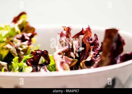 Ciotola di insalata Foto Stock