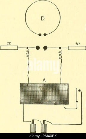 . Relazione annuale del consiglio di amministrazione di Regents dello Smithsonian Institution. Smithsonian Institution; Smithsonian Institution. Archivi; scoperte nel campo della scienza. 264 telegrafia senza fili. da Lord Kelvin nel 1853. Hertz impostare oscillazioni elettriche per mezzo di un oscillatore elettrico, mostrato in lig. 1. Questa consiste di un ordinar}^ grande bobina di induzione, UN, i terminali della bobina secondaria essendo- con- nesso a sfere in ottone, o knol)s, e a cui breve aste metalliche, o ali, ?/;, sono allegate. Le manopole sono separati da un piccolo spazio aereo, attraverso il quale il salto scintille quando la bobina è in funzionamento. In corrispondenza di tali Foto Stock