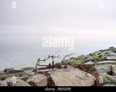 Serata tranquilla al livello del mare e pietre taglienti costa. Lapidei e frangiflutti di legno contro il mare Foto Stock