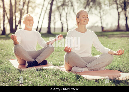 Positivo il piacere persone mature fare yoga sulla natura Foto Stock