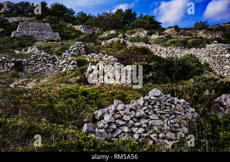 Muri in pietra a secco nel selvaggio Foto Stock