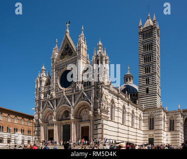 Duomo di Siena (Cattedrale di Siena), Toscana, Italia Foto Stock