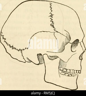 . Relazione annuale del consiglio di amministrazione di Regents dello Smithsonian Institution. Smithsonian Institution; Smithsonian Institution. Archivi; scoperte nel campo della scienza. In artificiale del cranio HELYETICA- da Federico TROYON. Per il Segretario dello Smithsonian Institution: Sir: prendo la prima opportunità di riconoscere, con molte grazie, il ricevimento delle pubblicazioni che lei è stato così gentile da mandarmi da parte dell'istituzione di Smithsonian, vale a dire: Relazione Smithsonian, 1862. Antiche miniere sulle rive del lago Superior. Dizionario del gergo Chinook. Vocabolario comparativo. Istruzioni relativi Foto Stock