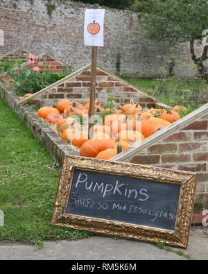 Zucche in vendita in walled garden Foto Stock