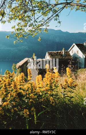 Litunet Farm Museum parte di Ryfylke Norwegian Folk Museum in Hylsfjorden vicino a sabbia Suldal in Norvegia. Foto Stock