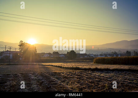 Rurale scena con campi agricoli nelle prime ore del mattino, Shaxi storica città mercato, Yunnan, Cina Foto Stock