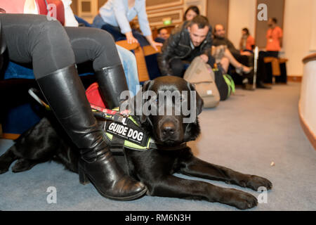 Salonicco, Grecia - 9 Marzo 2018: cieco con il cane guida seduta nel cinema durante una speciale proiezione per tende a Zannas cinema Foto Stock