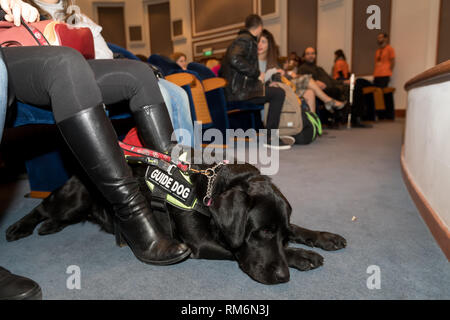 Salonicco, Grecia - 9 Marzo 2018: cieco con il cane guida seduta nel cinema durante una speciale proiezione per tende a Zannas cinema Foto Stock