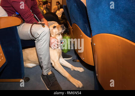 Salonicco, Grecia - 9 Marzo 2018: cieco con il cane guida seduta nel cinema durante una speciale proiezione per tende a Zannas cinema Foto Stock