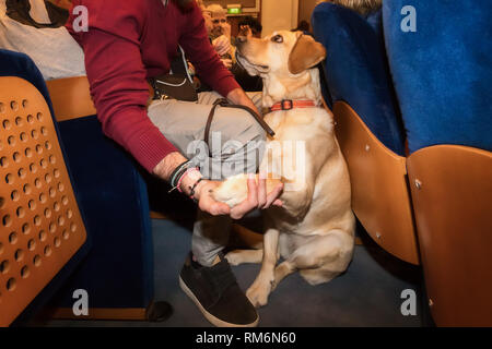 Salonicco, Grecia - 9 Marzo 2018: cieco con il cane guida seduta nel cinema durante una speciale proiezione per tende a Zannas cinema Foto Stock