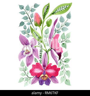 Rosa viola orchid floreale di fiori botanica. Acquerello set di sfondo. Ornamento isolato illustrazione elemento. Foto Stock