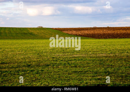 Campo Arato con cereali contro un cielo blu.. Paesaggio di primavera con cornfield e nuvoloso cielo blu. Classico paesaggio rurale in Lettonia. Foto Stock