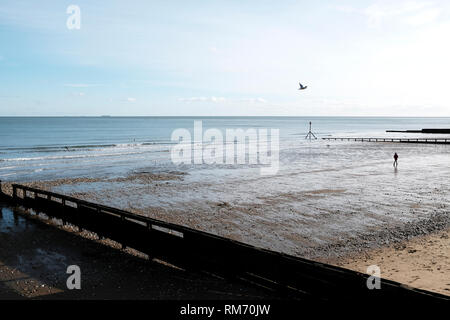 Facendo una passeggiata lungo la spiaggia di Shanklin come lone seagull flies overhead, Shanklin, Isle of Wight, Inghilterra, Regno Unito. Foto Stock