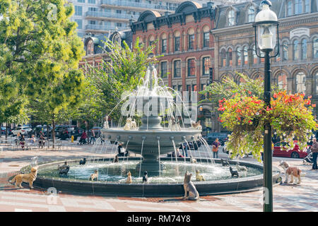 Toronto, Ott 8: Cane fontana del Parco Berczy il Ott 8, 2018 a Toronto, Canada Foto Stock