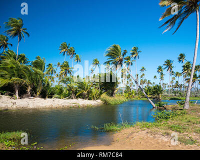 Bella e solitaria laguna in un paradiso su Puerto Rico, Stati Uniti d'America Foto Stock