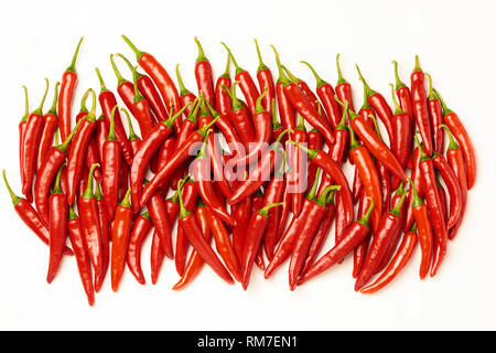 Red Peperoncini piccanti Peperoni Foto Stock