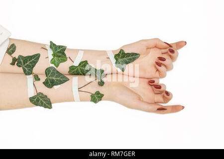 Mani femminili sulle mani di foglie verdi, gesso sulle mani , su sfondo bianco, il concetto di cura delle mani Foto Stock