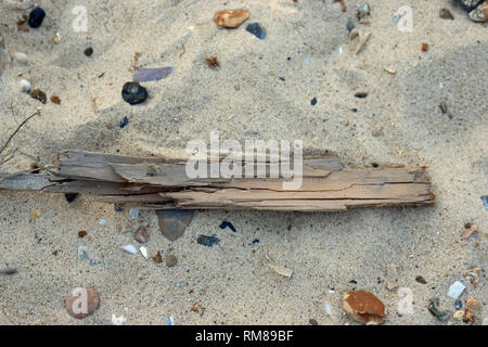 Pezzo di driftwood e ciottoli di varie forme e dimensioni e colori su di una spiaggia di sabbia. Foto Stock