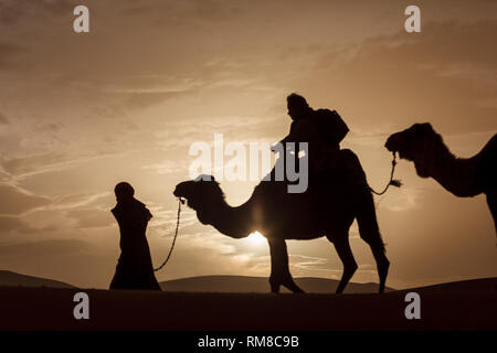 Berber uomo cammello leader in treno attraverso le dune del Sahara Foto Stock