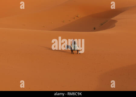 Silhouette di Berber uomo porta cammello tra le dune del Sahara al tramonto Foto Stock