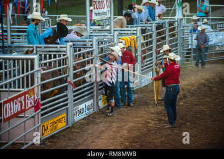 Bareback rider in rodeo scivolo pronto a correre Foto Stock