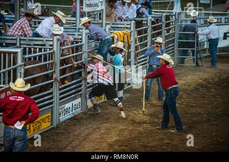 Bareback rider in rodeo scivolo pronto a correre Foto Stock