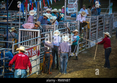 Cowboy pronto per bareback pilota al rodeo Foto Stock