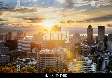 Lo skyline di Montreal la mattina presto dal Mont Royal Park, Canada Foto Stock