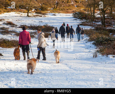 La gente camminare i cani nella neve durante l'inverno lungo il sentiero di pietra arenaria sulle colline Bickerton Cheshire Foto Stock
