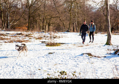 Persone l uomo e la donna a piedi un cane Husky nella neve durante l'inverno lungo il sentiero di pietra arenaria sulle colline Bickerton Cheshire Foto Stock