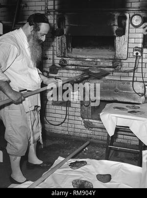 Hasidic ebrei in Chicago rendere matzo per la Pasqua ebraica, ca. 1966. Foto Stock