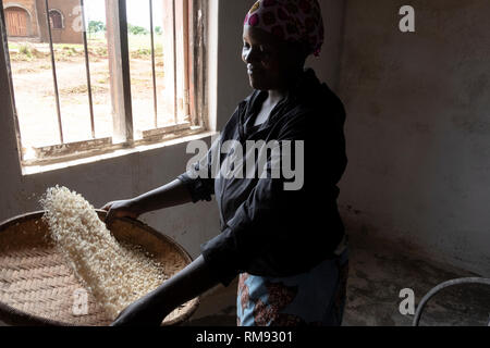 La sbramatura grano in Dzaleka, Dowa, Malawi Foto Stock