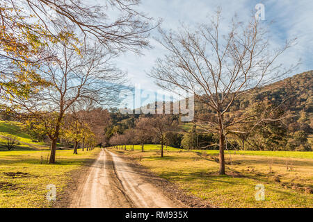 Strada sterrata in alto la Hunter Valley, NSW, Australia, nella luce della sera. Foto Stock