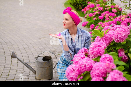 Ortensia. La primavera e l'estate. La cura dei fiori e irrigazione. suoli e fertilizzanti. donna cura dei fiori nel giardino. donna felice giardiniere con fiori Foto Stock