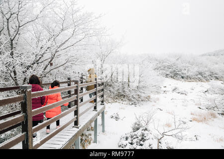 Nevoso inverno montagna Hallasan 1100 highland in Jeju Island, Corea Foto Stock