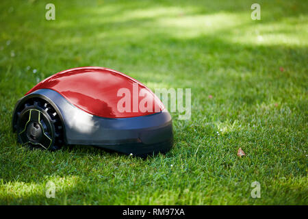Robot tosaerba sul prato estivo in giardino con spazio di copia Foto Stock