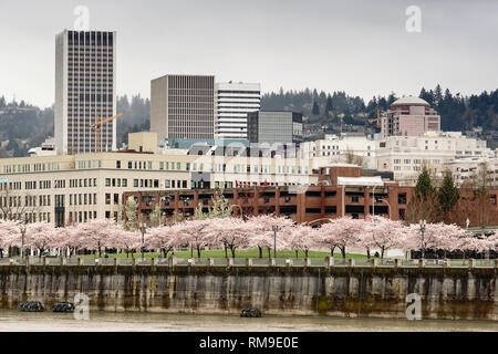 La primavera è arrivata nel centro di Portland Oregon lungo la Parkway Foto Stock