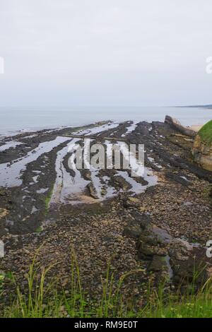 Esposti carbonifero strati di pietra arenaria di St Andrew's Pier. Fife, Scozia, Regno Unito. Foto Stock