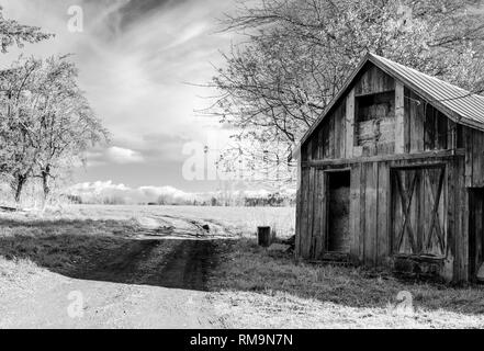 Vecchia stalla abbandonata con fieno pressato e una strada tra prato senza le porte e le finestre si erge nel mezzo del campo come un promemoria di caducità o Foto Stock