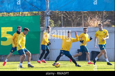 Barcellona, Spagna. Xiv Feb, 2019. Wu Lei (C) della Cina prende parte ad aprire la sessione di formazione del campionato spagnolo team RCD Espanyol di Barcellona, Spagna, il 14 febbraio, 2019. Credito: Joan Gosa/Xinhua/Alamy Live News Foto Stock