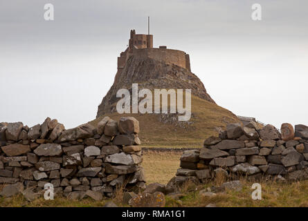 Lindisfarne Castle, Isola Santa, Northumberland, Inghilterra, Regno Unito. 14 febbraio 2019. Centinaia di visitatori discendere su di Isola Santa come il ponteggio è stata finalmente rimossa dall'esterno delle mura del castello dopo quattro anni di accurati lavori di ristrutturazione e di conservazione. Il costo del lavoro di oltre tre milioni di sterline e coinvolto la rimozione e ripristino 108 finestre. Credito: Arch bianco/Alamy Live News Foto Stock