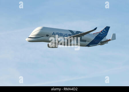 Broughton, Flintshire, Regno Unito. 14 febbraio 2019. Il nuovo Airbus A330-743l piano di trasporto noto come Airbus Beluga XL fa volare oltre a Hawarden Airport. L'aeroporto è adiacente alla fabbrica di Airbus nella periferia di Chester e questa è la prima visita del piano alla fabbrica dove rimarrà fino a sabato. Il Beluga XL è progettato per il trasporto di ali di aerei e ha il 30% in più di capacità di carico rispetto alla corrente il Beluga. Credito: Andrew Paterson/Alamy Live News Foto Stock