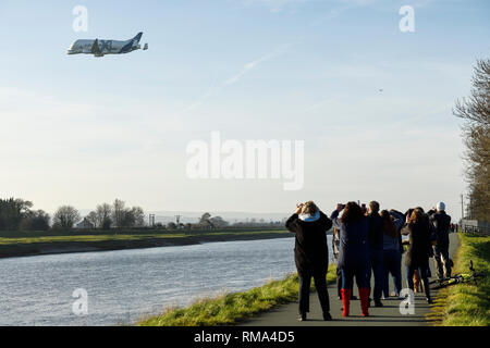 Broughton, Flintshire, Regno Unito. 14 febbraio 2019. La folla guarda il nuovo Airbus A330-743l piano di trasporto noto come Airbus Beluga XL fare volare oltre a Hawarden Airport. L'aeroporto è adiacente alla fabbrica di Airbus nella periferia di Chester e questa è la prima visita del piano alla fabbrica dove rimarrà fino a sabato. Il Beluga XL è progettato per il trasporto di ali di aerei e ha il 30% in più di capacità di carico rispetto alla corrente il Beluga. Credito: Andrew Paterson/Alamy Live News Foto Stock