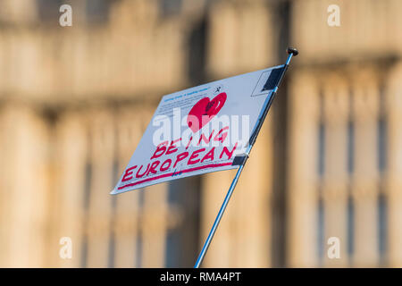 Londra, Regno Unito. 14 Febbraio, 2019. Lasciare significa lasciare e SODEM, pro UE, i manifestanti continuano a fare i loro punti, affiancate al di fuori del Parlamento come la prossima votazione su Theresa Maggio il piano è a causa di questa sera. Credito: Guy Bell/Alamy Live News Foto Stock