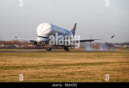 Broughton Regno Unito, 14 Febbraio 2019 - Airbus' BelugaXL super-transporter aeromobile toccato a Hawarden aérodrome a Broughton, Flintshire, alle 15.30 di oggi - il giorno di San Valentino di credito Fairbrother Ian/Alamy Live News Foto Stock