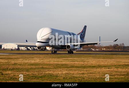 Broughton Regno Unito, 14 Febbraio 2019 - Airbus' BelugaXL super-transporter aeromobile toccato a Hawarden aérodrome a Broughton, Flintshire, alle 15.30 di oggi - il giorno di San Valentino di credito Fairbrother Ian/Alamy Live News Foto Stock