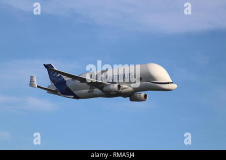 Airbus Beluga XL, Hawarden Airport, Deeside, Wales, Regno Unito giovedì 14 febbraio 2019. Il nuovo Airbus super-transporter Beluga terre XL a Hawarden Airport North Wales per la prima volta. Credito: Mike Clarke/Alamy Live News Foto Stock